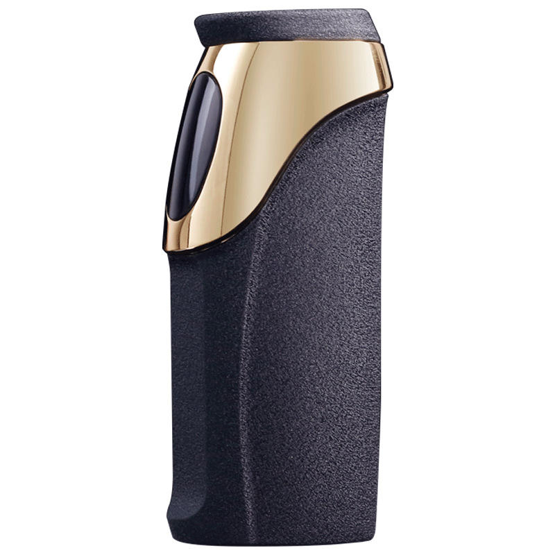 Rechargeable Dolphin Lighter